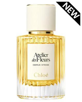 Chloe Cedrus Intense Perfume Sample