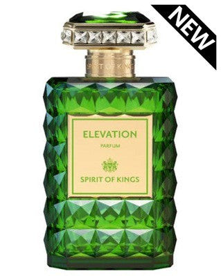 Spirit Of Kings Elevation Perfume Sample