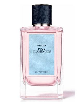 Prada Pink Flamingos Perfume Samples