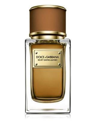 Dolce & Gabbana Velvet Exotic Leather Perfume Samples