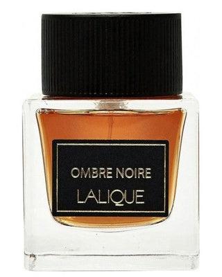 Travel Spray Ombre Nomade - Perfumes - Collections
